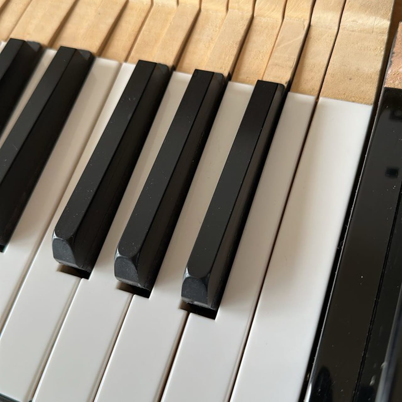 Marteaux et clavier après entretien lors de l'accordage